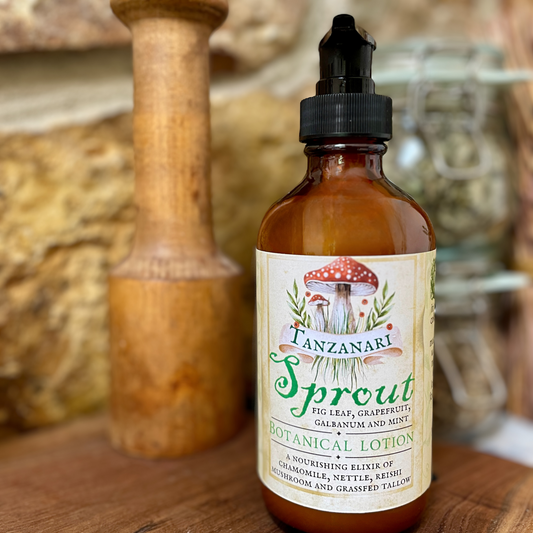 Sprout : Botanical Lotion