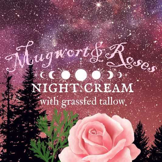 Botanical Night Cream